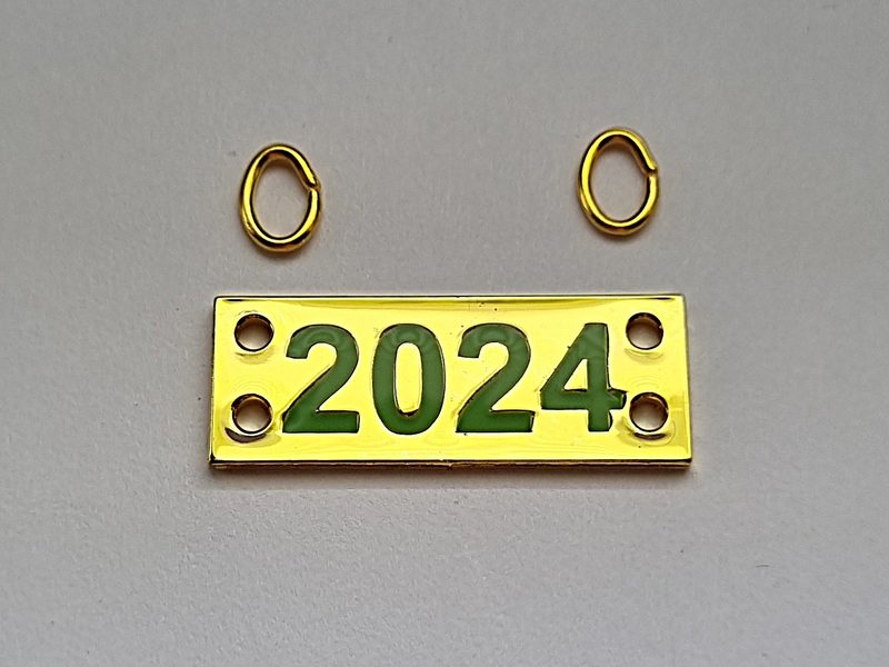 Jahreszahl 2024