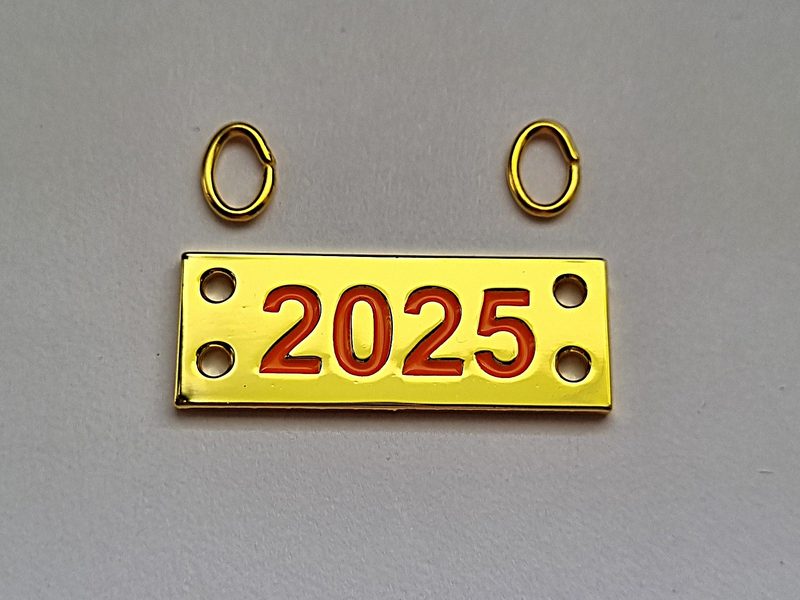 Jahreszahl 2025